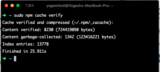 Verifying npm cache