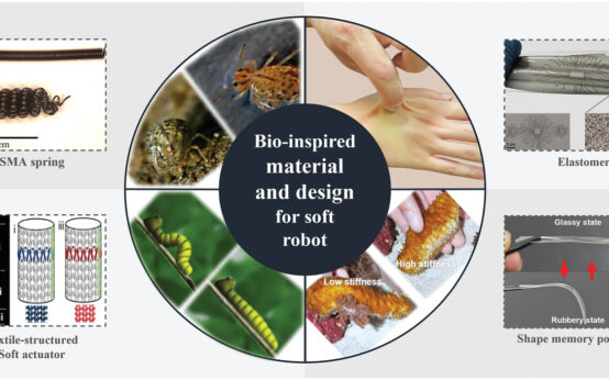 us patent bioinspired horizontal self burrowing robot